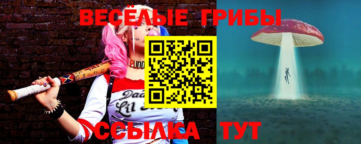 Домодедово  Галлюциногенные грибы прущие грибы  Вход с VPN  цены   Галлюциногенные грибы ЛСД 